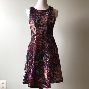 Printed fit and flare dress